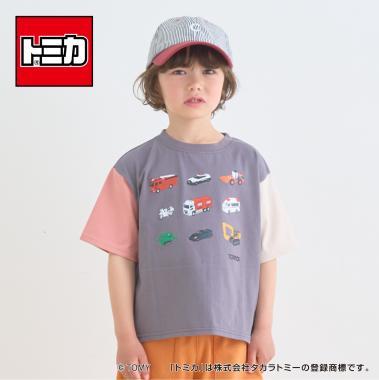 170603855