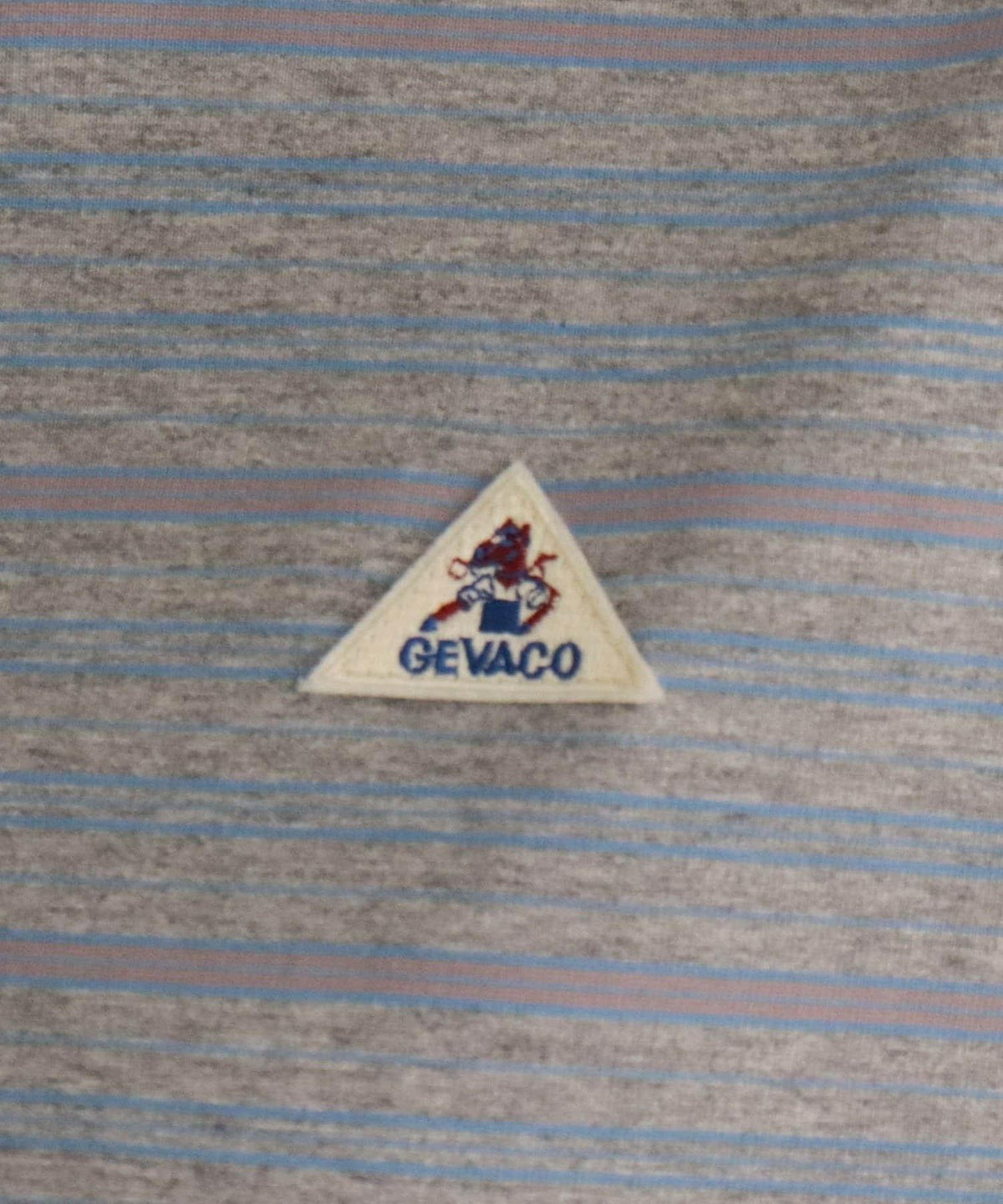 169917684
