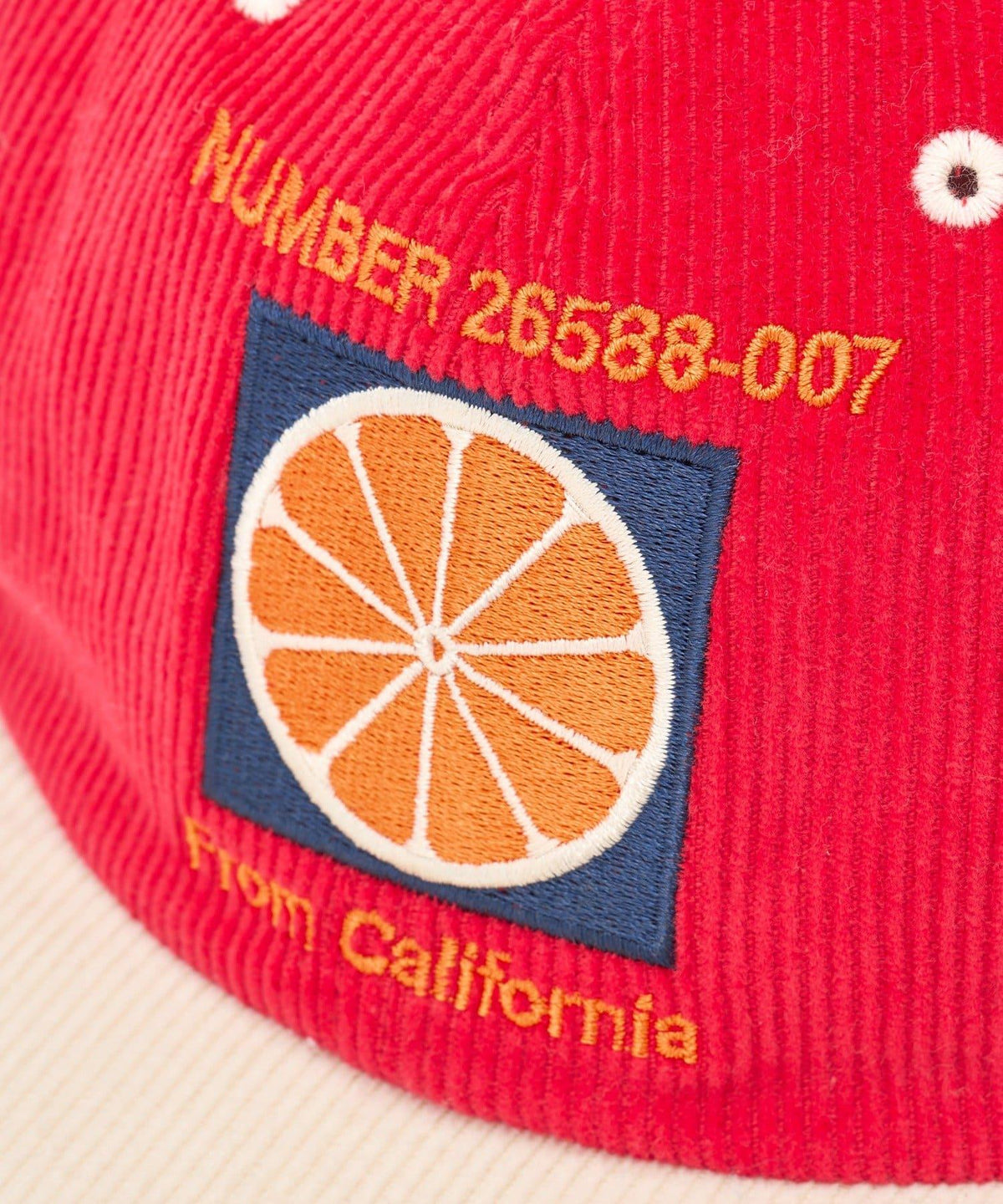 172595105